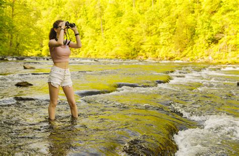 Guide to Fall Foliage in the Great Smoky Mountains - Travel Zone by Best Western