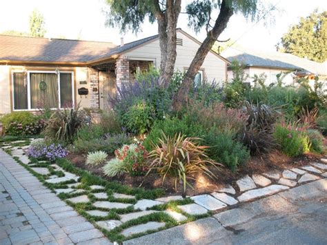 home_view_from_street__corner_of_stones.26484649_large | Drought resistant landscaping, Drought ...