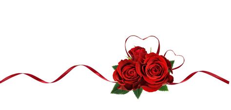 Red Rose Clipart No Background