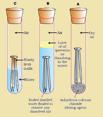 with the help of an experiment show the rusting of iron in the laboratory - 10696753 ...