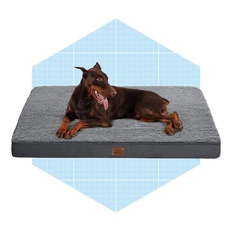 What To Know About Orthopedic Dog Beds