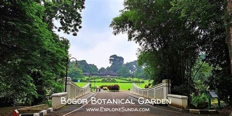 Bogor Botanical Garden | The Best Park for Picnic and Learning Botany