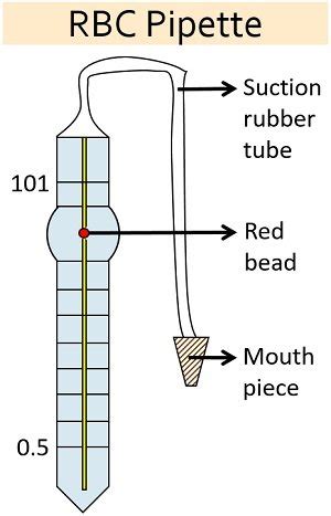 RBC Count Method - Requirements, Video, Procedure & Calculation ...