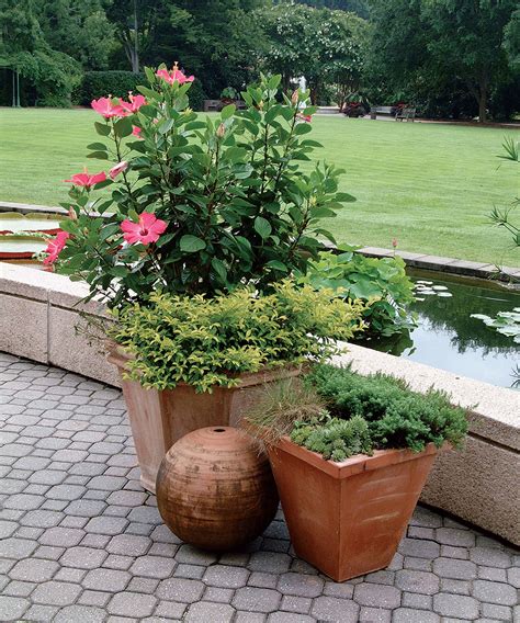 3 Ways to Design With Containers - Fine Gardening