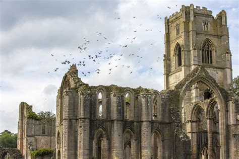 Fountains Abbey And Birds Free Stock Photo - Public Domain Pictures