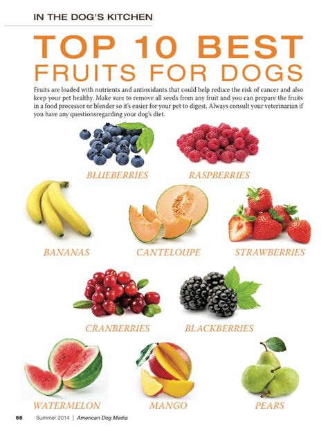 TOP 10 BEST VEGETABLES FOR MY DOG. | Make dog food, Fruits for dogs ...