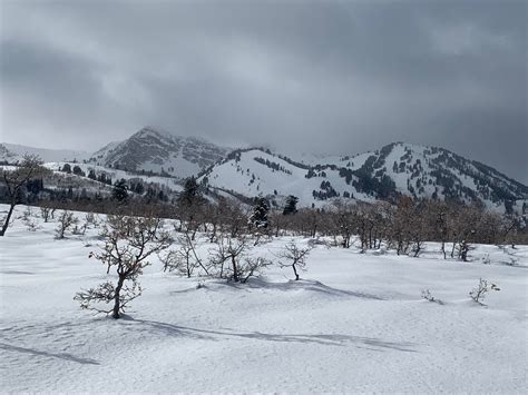 My adventure snowshoeing in the Wasatch highcountry! There were several feet of powder, and a ...