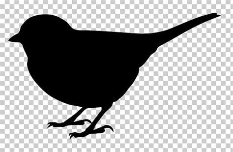 bird silhouette png 20 free Cliparts | Download images on Clipground 2024