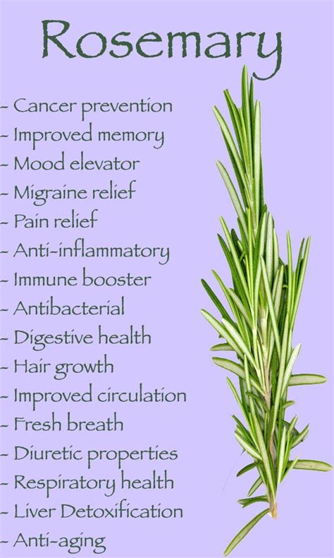 Health Benefits of Rosemary | Health & Fitness | Pinterest