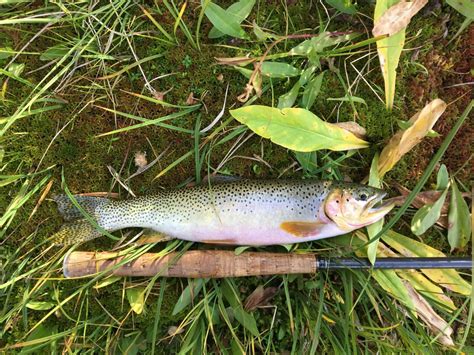 Gear List: Tenkara Fly Fishing in the Northern Rockies - Backpacking Light