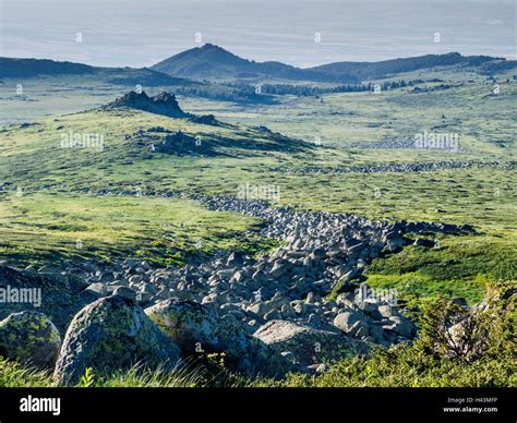 Vitosha National Park, Sofia, Bulgaria Stock Photo - Alamy