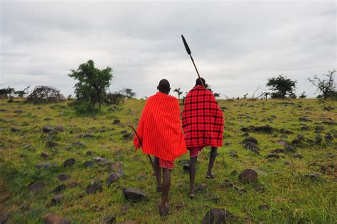 What is a walking safari | Masai Mara safaris | Basecamp Explorer