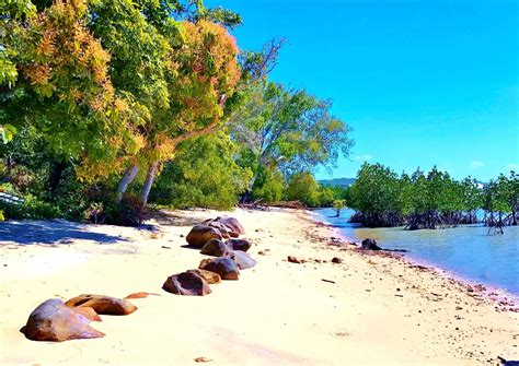 Beautiful Elim Beach on a warm sunny day in far North Queensland, Australia. : travel