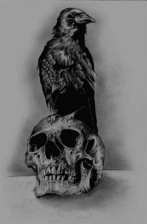 Skull and Crow Drawing by Louis Wood | Saatchi Art