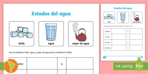 Ficha de actividad: Estados del agua (Teacher-Made)