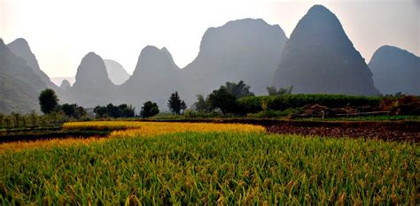 China's Rural Challenges - Qin Xiaoying - CHINA US Focus