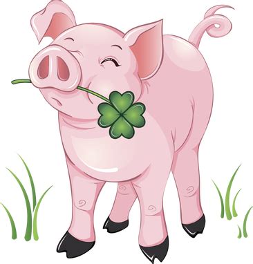 Pig Names List - Life with Pigs Farm Animal Sanctuary