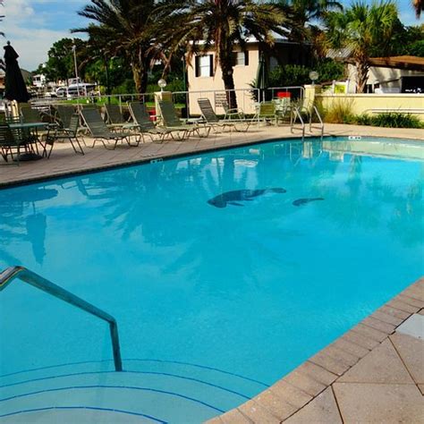 THE 10 BEST Hotels in Crystal River, FL 2024 (from $83) - Tripadvisor