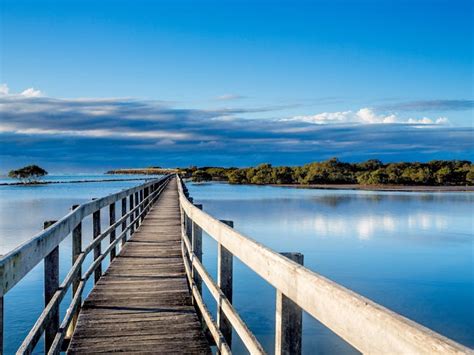 Urunga Boardwalk | NSW Holidays & Accommodation, Things to Do ...