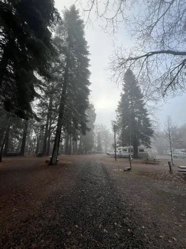 Best Hikes and Trails in Lake Siskiyou (Siskiyou County Flood Control District) | AllTrails