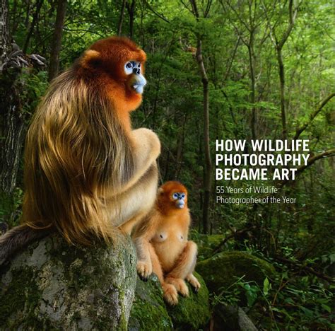 Nature Photography Books for Photographers this Christmas | Nature TTL