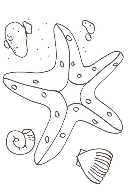 Free Printable Starfish Coloring Pages For Kids