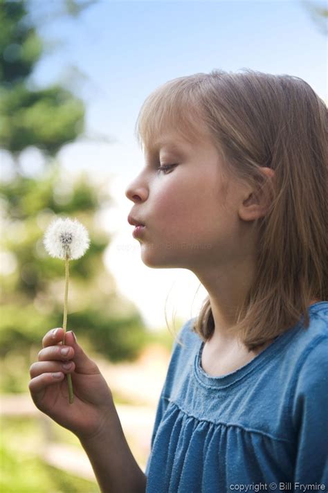 child blowing dandelion