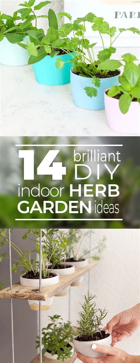 14 Brilliant DIY Indoor Herb Garden Ideas | The Garden Glove