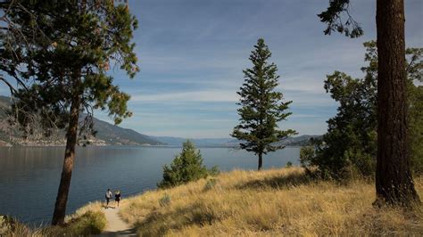 Canada’s mysterious lake monster - BBC Travel