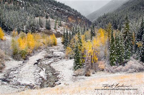 Kananaskis Provincial Park Photography - The Canadian Nature Photographer