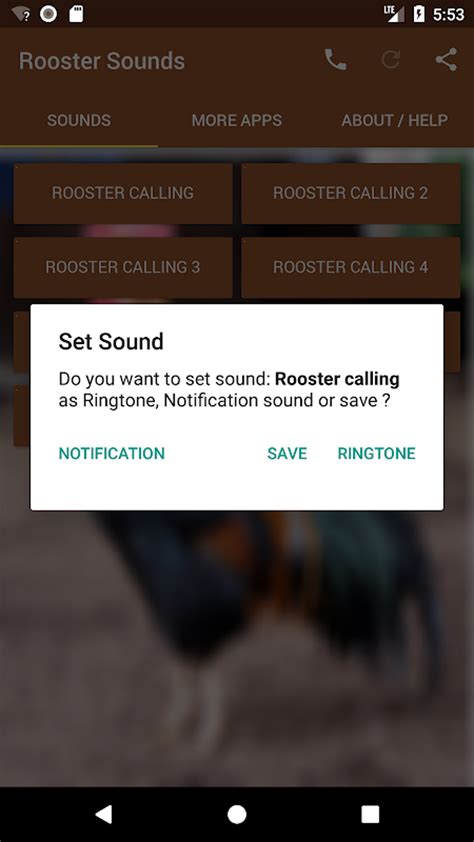 Rooster Sounds APK for Android - Download