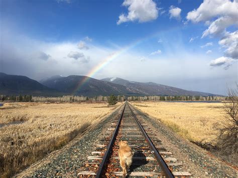 Missing warmer weather, just outside of Missoula : r/Montana