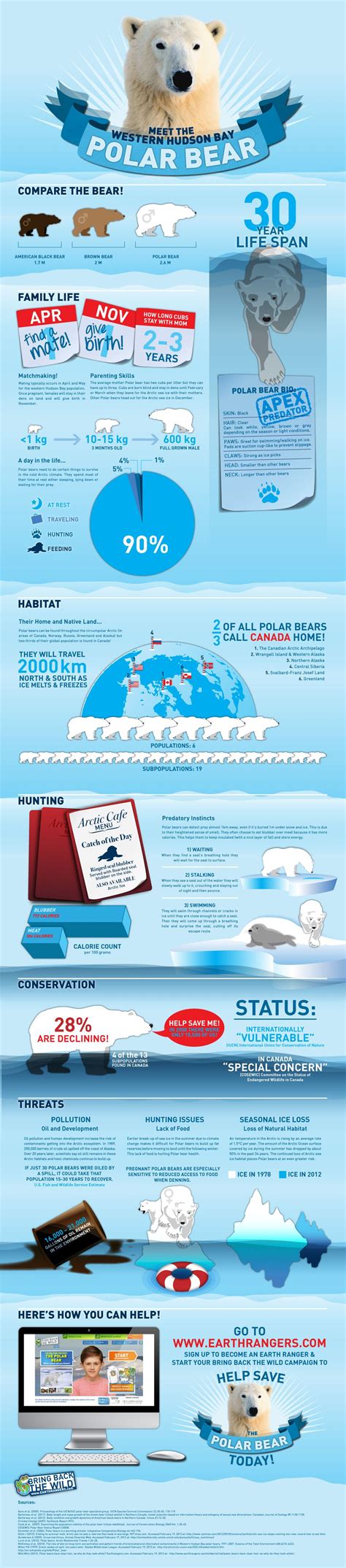 Happy International Polar Bear Day! To celebrate, discover some fun ...