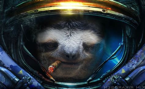 Starcraft II, Sloths, Cigars, Humor Wallpapers HD / Desktop and Mobile Backgrounds