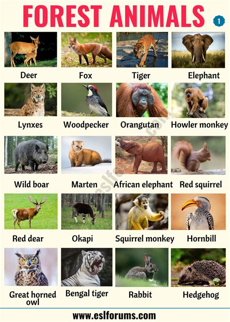 Таблица types of animals