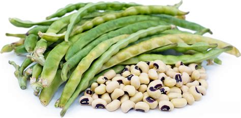 Black Eye Peas Information, Recipes and Facts