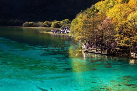 Jiuzhaigou 5 Flower Lake Sichuan Stock Image - Image of water, lake: 22215381