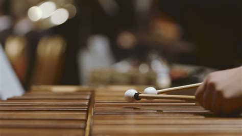 Close-up Shot Of Musician Playing Xylophone. Female Is Performing In ...