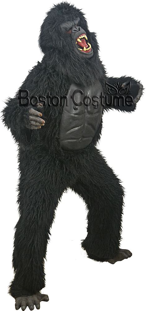 Gorilla Costume at Boston Costume