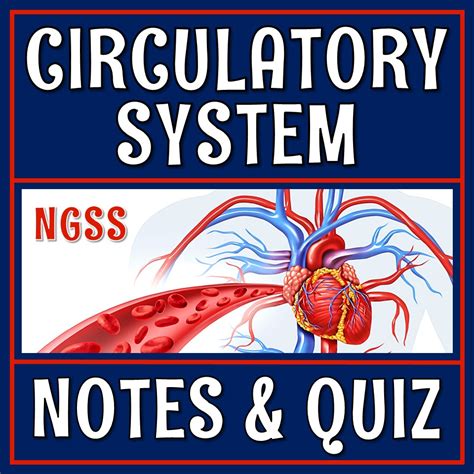 Circulatory System Notes and Quiz - Flying Colors Science