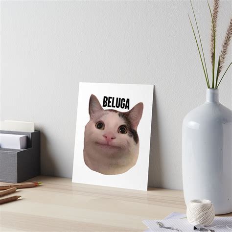 "beluga cat discord pfp " Art Board Print by Liamandlore | Redbubble