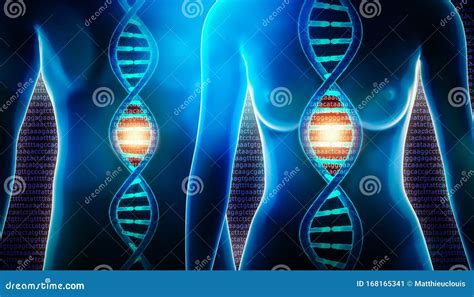 Human DNA Helix Strand Royalty-Free Illustration | CartoonDealer.com ...