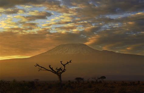 Mount Kilimanjaro: height, who has climbed it for Comic Relief and and ...