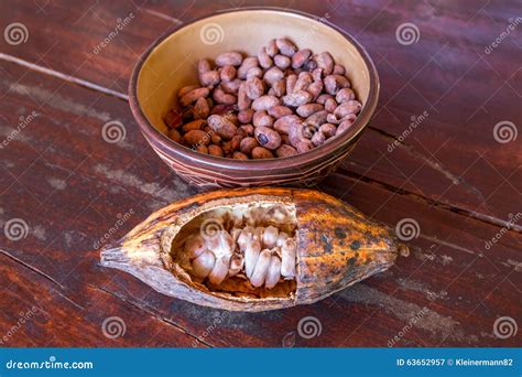 Fruit and Seeds of the Cacao Tree Stock Image - Image of nature, open: 63652957