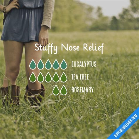 Stuffy Nose Relief | DiffuserBlends.com