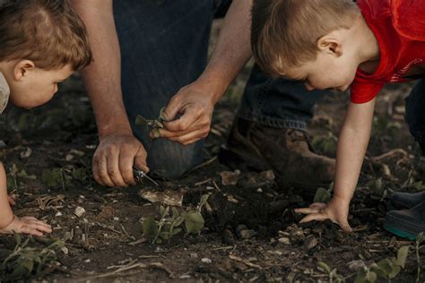 Agricultural life has connections to folk culture - Agweek | #1 source ...