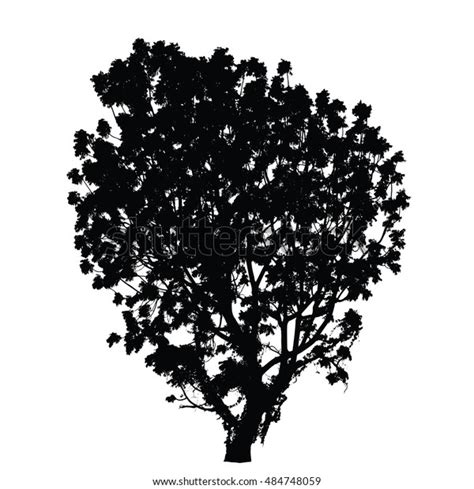 Big Tree Silhouette Vector Stock Vector (Royalty Free) 484748059 ...