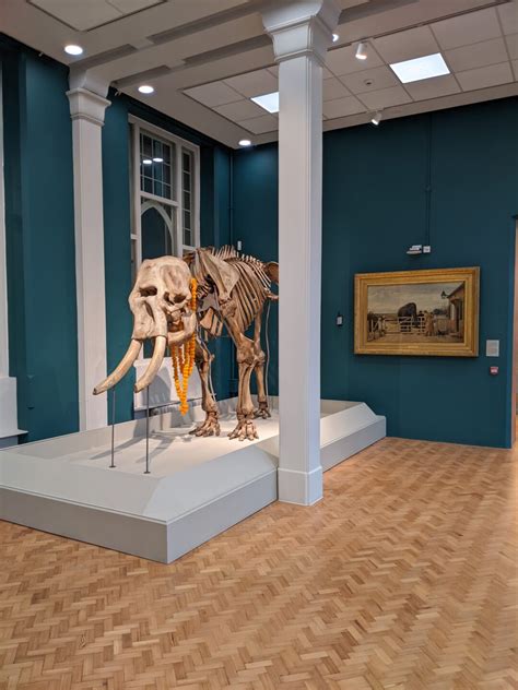 Co-curation: Manchester Museum reopens its doors after 18 months