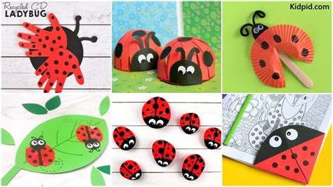 Ladybug Crafts & Activities for Kids Who Love Bugs - Kidpid