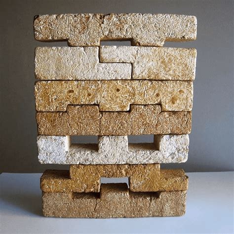 An Emerging Sustainable Construction Material – Mycelium Bricks – happho